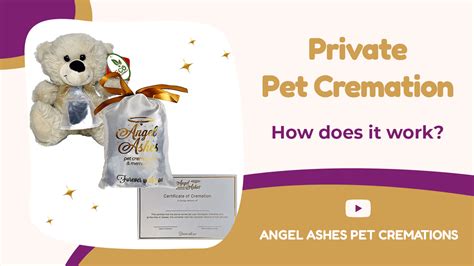 angel ashes pet cremations.